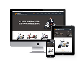 电动自行车踏板车